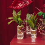 Almin  Flora Candle Set - Görsel 3